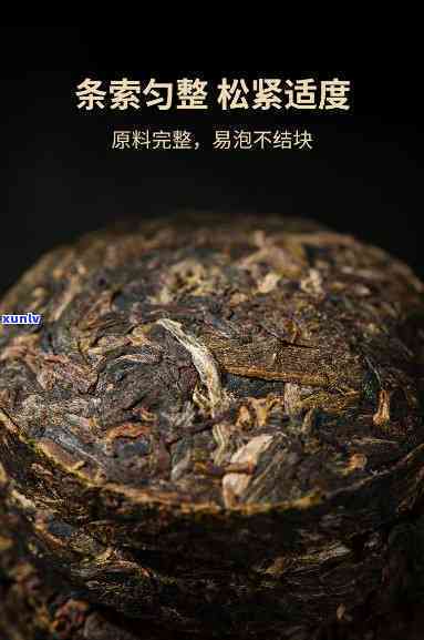 澜沧古茶金木生熟-澜沧古茶金木多少钱