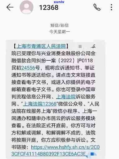 上海借贷逾期起诉流程，详解上海借贷逾期的起诉流程