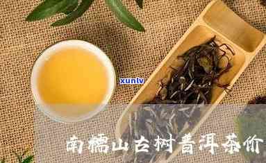 南糯山老树茶的价值-南糯山老树茶的价值和意义