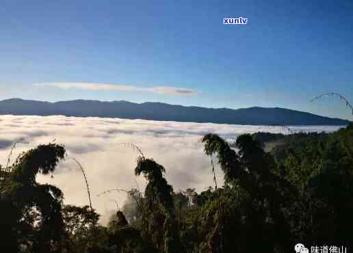 西双版纳南糯山海拔多少，探索云南风情：揭秘西双版纳南糯山的海拔高度