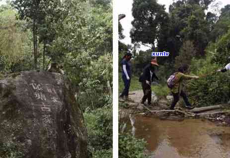 西双版纳南糯山好玩吗，《探秘云南西双版纳南糯山：热带雨林的神秘之旅》