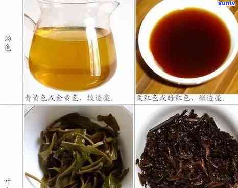 中茶名山系列普洱茶：主流还是副产？价格全览