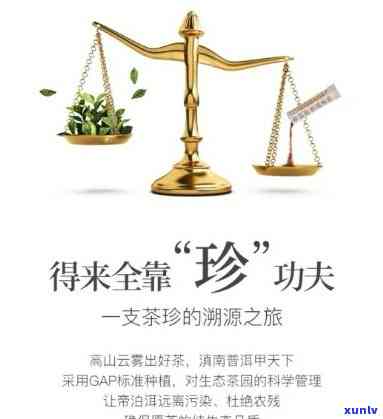 天士力帝泊洱普洱茶珍：功效与告全解析