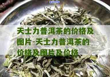 天士力帝泊洱茶价格-天士力帝泊洱茶价格策略