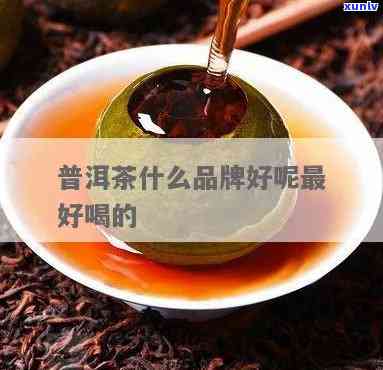 那个牌子的潽洱茶好-什么牌子的潽洱茶好