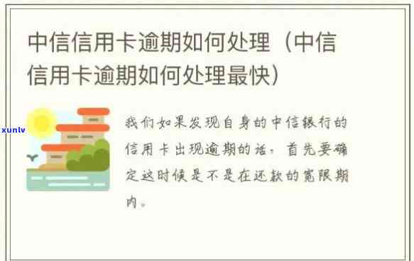 中信银行贷款逾期解决  ：协商解决步骤与办理指南