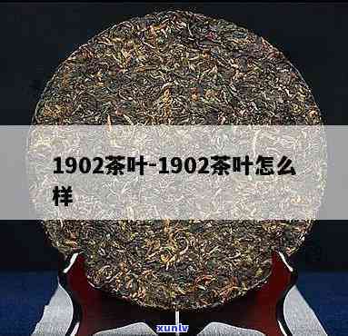 中茶传世1902价格，探寻历痕迹：中茶传世1902的价格解析