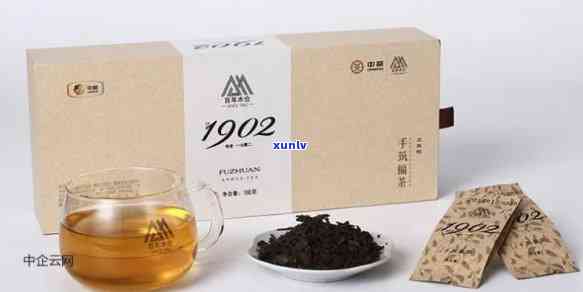 中茶传世1902价格，探寻历痕迹：中茶传世1902的价格解析