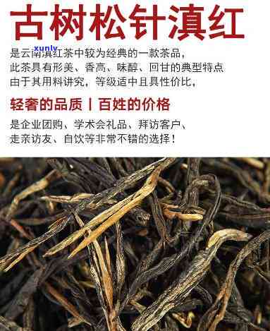 古树松针红茶怎么样-古树松针红茶价格