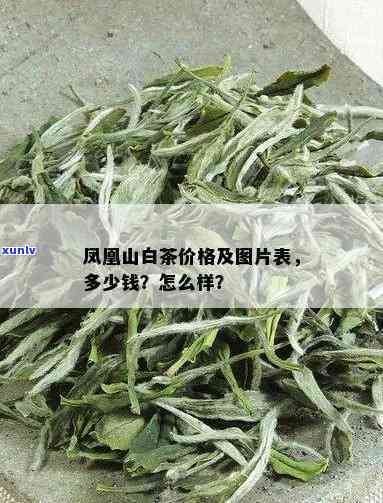 凤凰高山茶价格查询-凤凰高山茶价格查询表