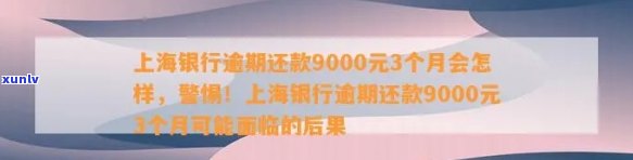 上海银行逾期还款9000元3个月会受到怎样的处罚？