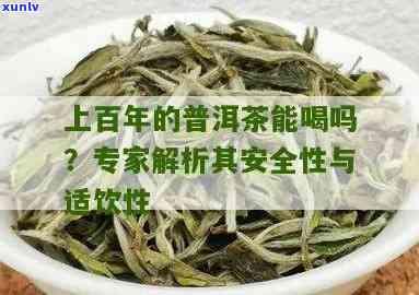 百年老茶能喝吗？探究其安全性和饮用 *** 