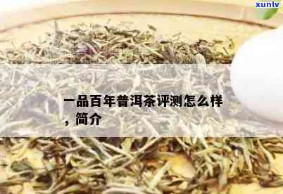 百年茶叶多少钱一盒？能否饮用？价格及品质全解析