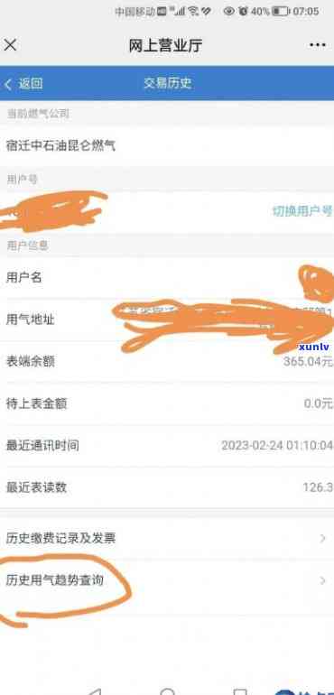 上海煤气逾期账单怎么查，怎样查询上海煤气的逾期账单？