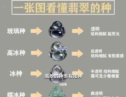 探究冰种翡翠：种类、类型全解析