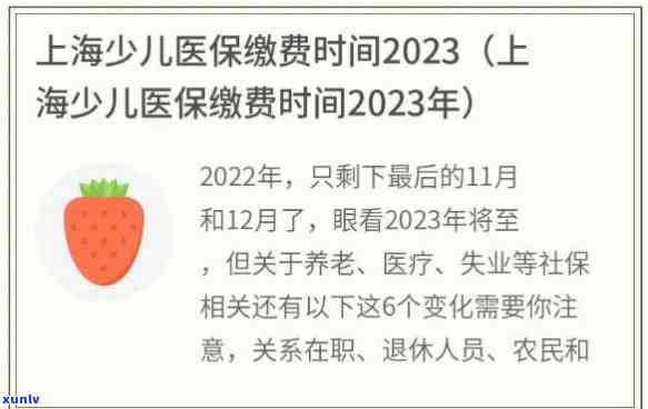 2023年上海少儿医保补缴最晚期限及相关事