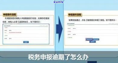 上海税务逾期申报流程，详解上海税务逾期申报流程