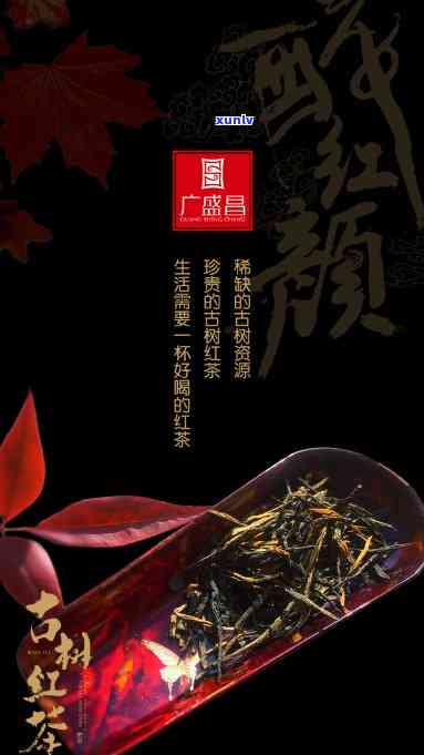 古树红茶什么牌子好-古树红茶什么牌子好喝