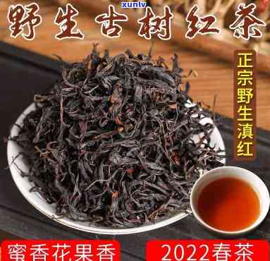 野生古树红茶价位，探索野生古树红茶的珍贵价值：一份值得收藏的茗茶价格解析