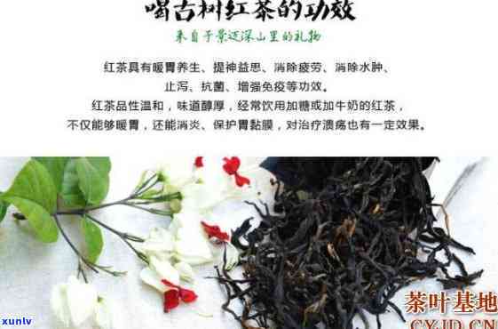 古树红茶的特点、功效与可复制性