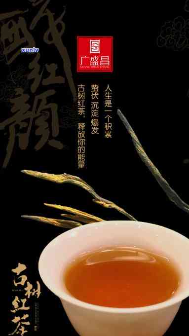 古树红茶哪里生产的-古树红茶哪里生产的好