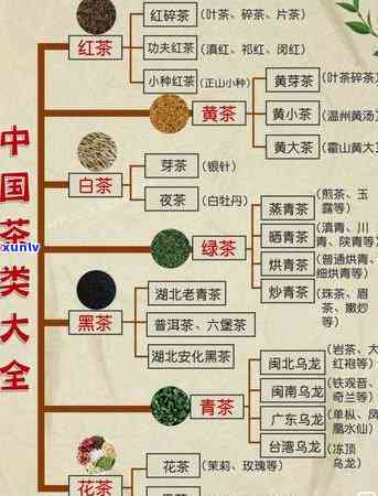 泡茶步骤详细图解，详解泡茶步骤：一份详细的图解指南