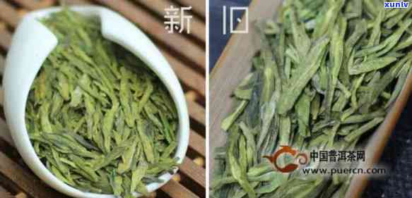 新茶和旧茶价格差异-新茶和旧茶价格差异原因