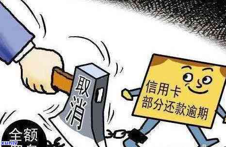 消费额度逾期怎么办？解决办法全攻略！