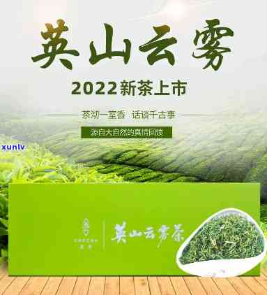 英山云雾茶多少钱一斤礼盒装，英山云雾茶：礼盒装，每斤价格多少？