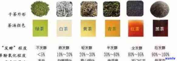 中国十大茶类有哪些，探秘中国茶文化：揭秘中国十大茶类