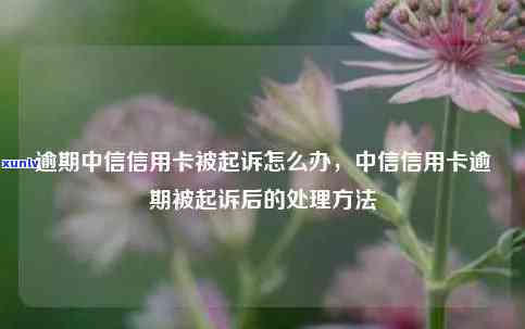 中信花呗逾期起诉流程，中信花呗逾期：熟悉被起诉的全过程