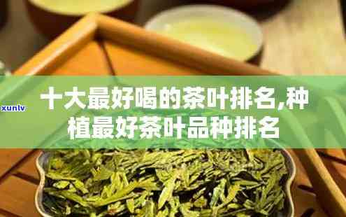 十大茶哪个好喝-十大茶哪个好喝一点