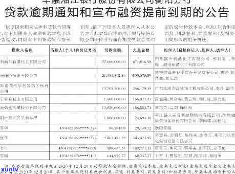 飘绿翡翠手镯推荐：、寓意与价格全解析