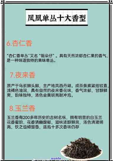 单丛十大香型对照表-单丛 十大香型