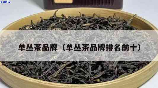 单丛茶十大名牌，探索中国茶文化： 单丛茶十大名牌介绍