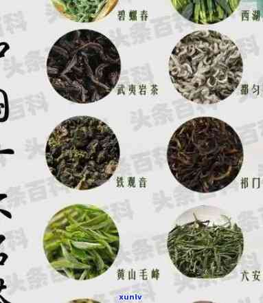 中国人爱喝的十大茶-中国人爱喝的十大茶是什么