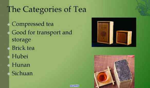 Traditional tea culture: Outdated or timeless?