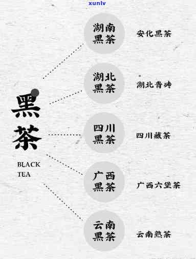 我国几大茶类，探秘中国茶文化：解析我国几大主要茶类的特点与魅力