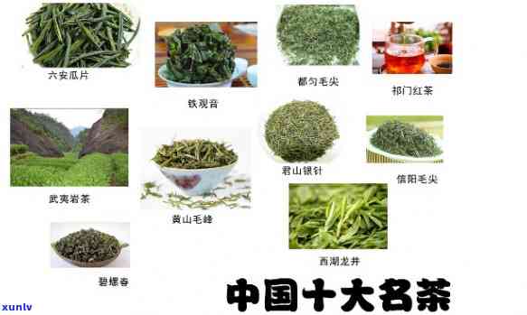 简述我国的十大茶类-简述我国的十大茶类及其中的名品