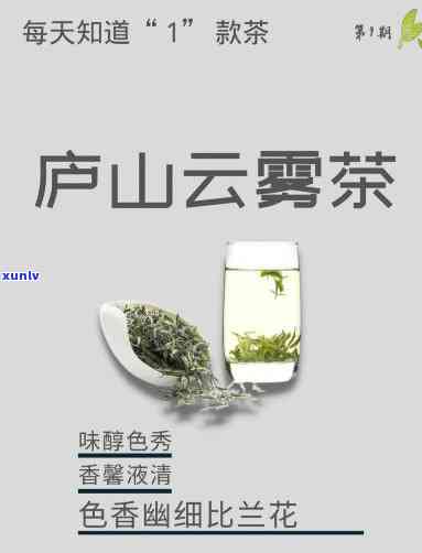 庐山云雾茶十大全揭秘