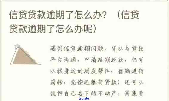 全面了解老庙黄金玉坠款式、材质以及寓意，打造您的完美选择