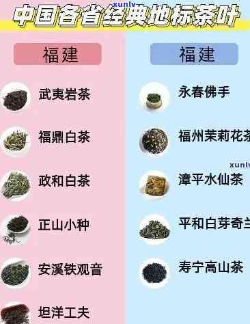 全国喜欢喝茶的地方排名：揭秘十大热门茶区