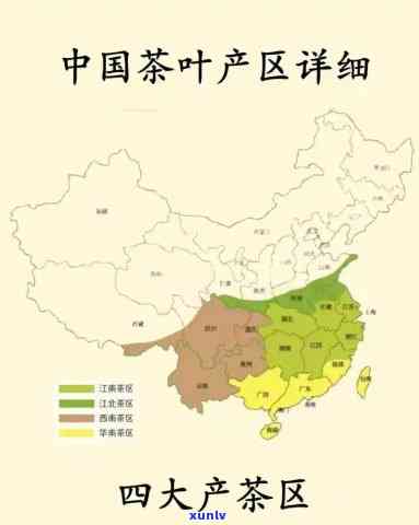 全国喜欢喝茶的地方排名：揭秘十大热门茶区