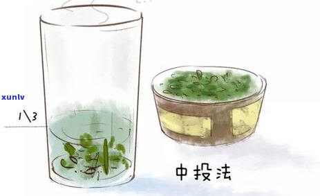 野生根泡茶的禁忌-野生根泡茶的禁忌是什么