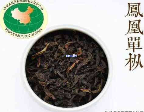 潮州凤凰茶品种介绍大全：图片详解