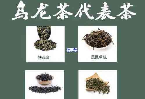 中国十大茗茶中采用的茶叶是，探秘中国十大名茶：揭秘它们所采用的茶叶种类