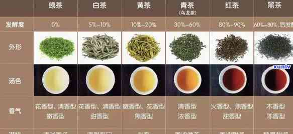 茶种类名称大全图片介绍，探索丰富多样的茶世界：茶种类名称大全图片介绍