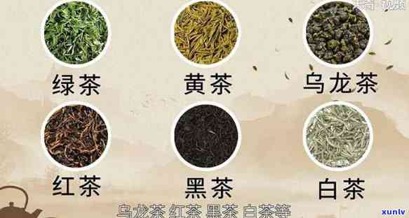 茶种类名称大全图片介绍，探索丰富多样的茶世界：茶种类名称大全图片介绍