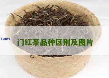 门红茶种类和特点-门红茶种类和特点介绍