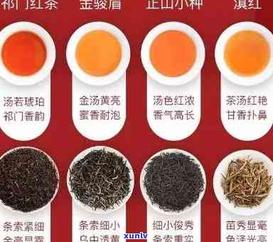 红茶种类名称大全集-红茶种类名称大全集图片